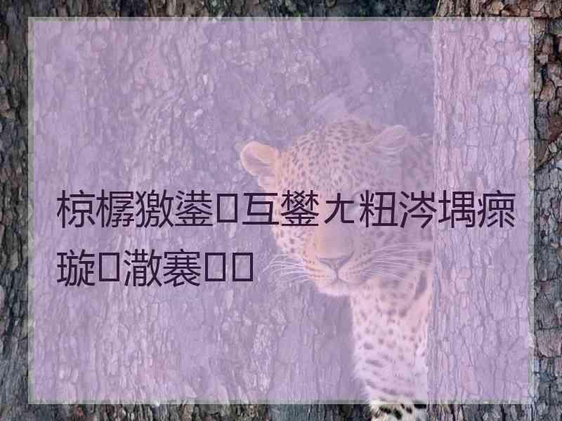 椋樼獥鍙互鐢ㄤ粈涔堣瘝璇潵褰㈠