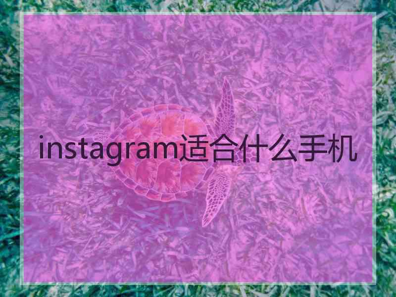 instagram适合什么手机