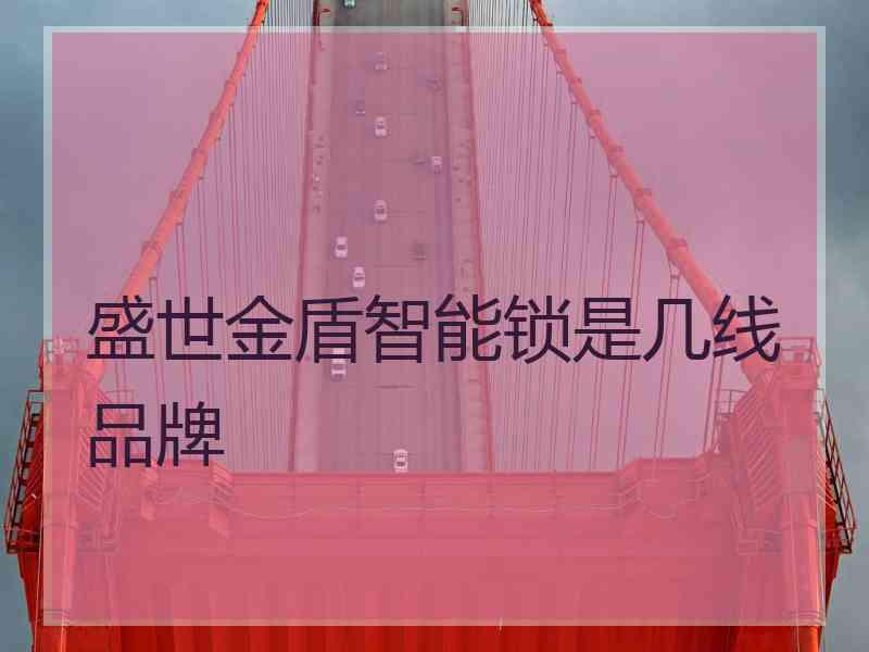 盛世金盾智能锁是几线品牌
