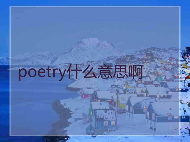 poetry什么意思啊