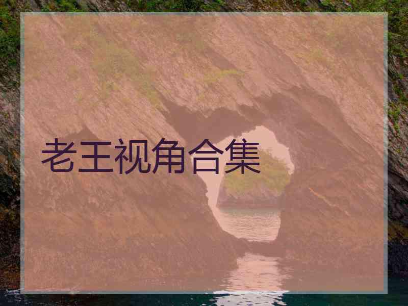 老王视角合集