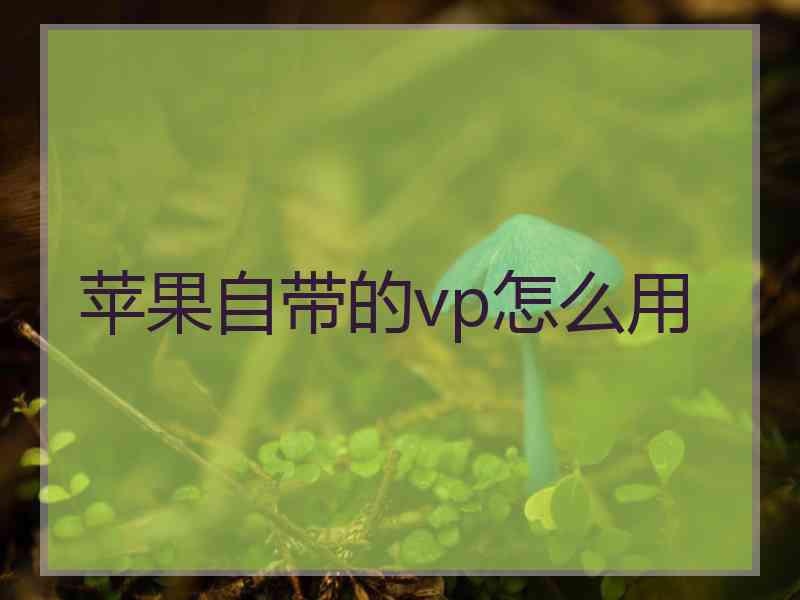 苹果自带的vp怎么用