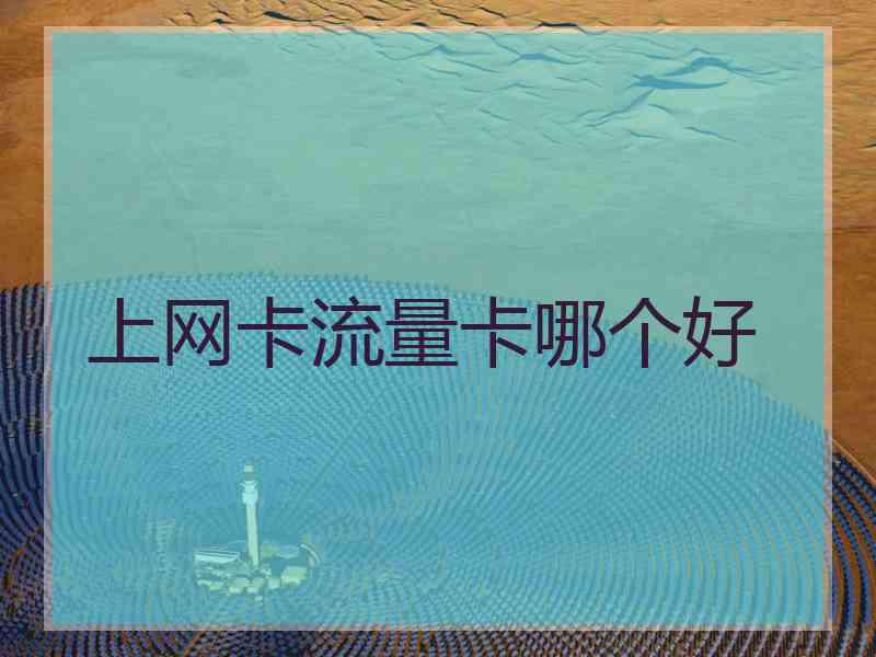 上网卡流量卡哪个好