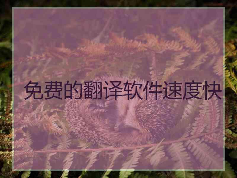 免费的翻译软件速度快