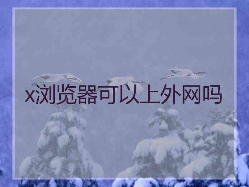 x浏览器可以上外网吗