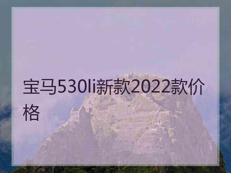 宝马530li新款2022款价格