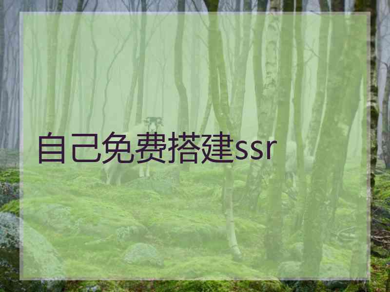 自己免费搭建ssr