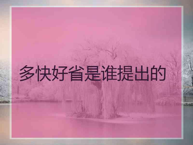 多快好省是谁提出的