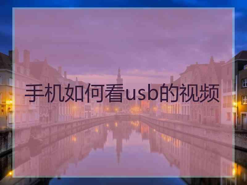 手机如何看usb的视频
