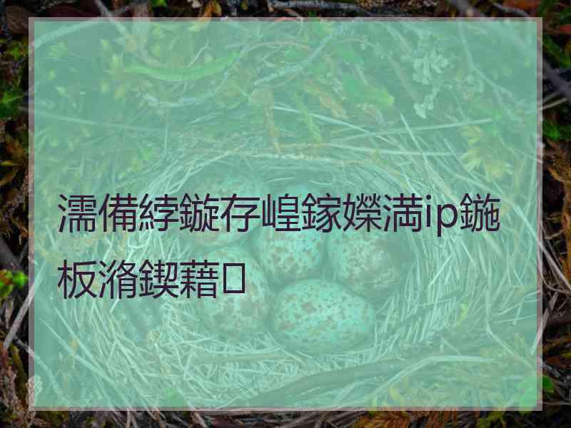 濡備綍鏇存崲鎵嬫満ip鍦板潃鍥藉