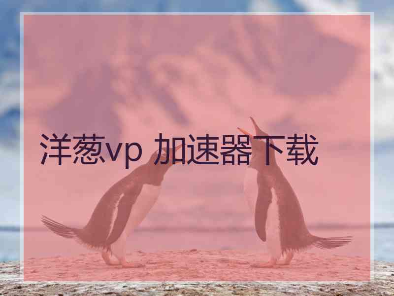洋葱vp 加速器下载
