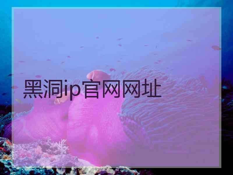 黑洞ip官网网址