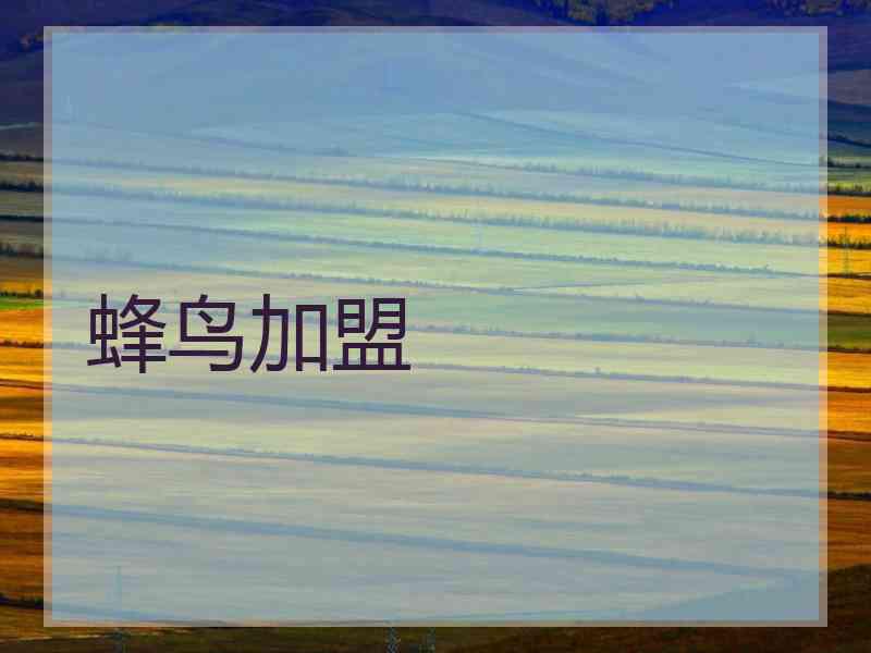 蜂鸟加盟