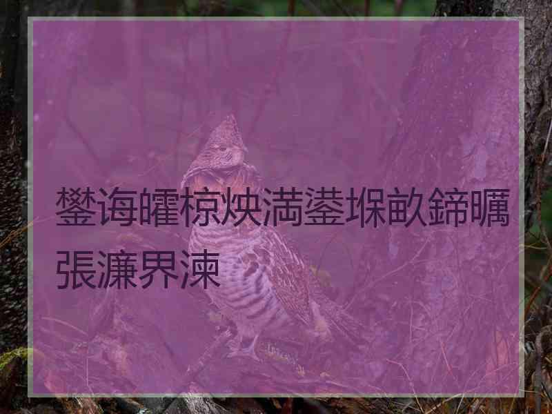 鐢诲皬椋炴満鍙堢畝鍗曞張濂界湅