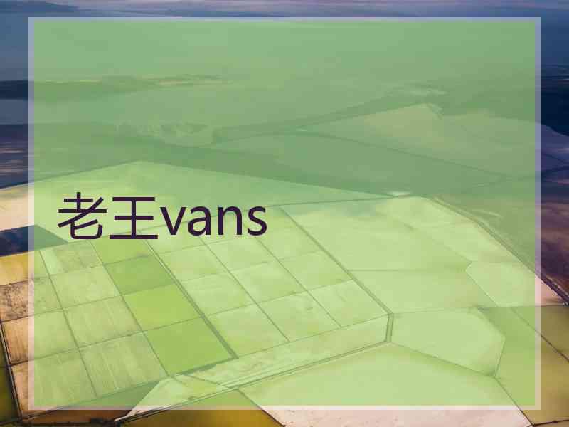 老王vans