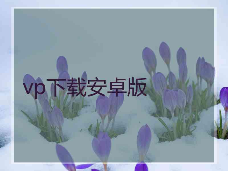 vp下载安卓版