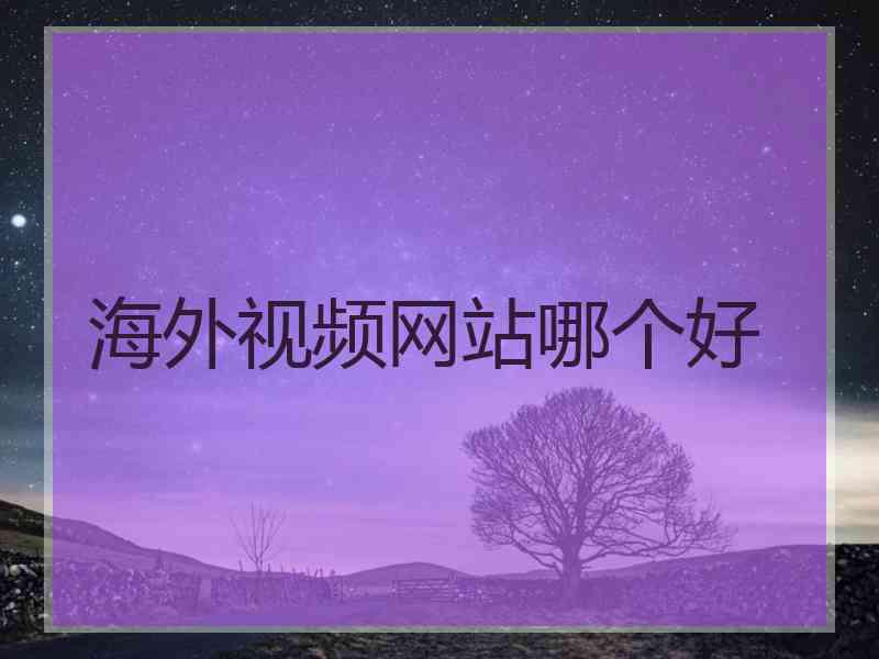 海外视频网站哪个好
