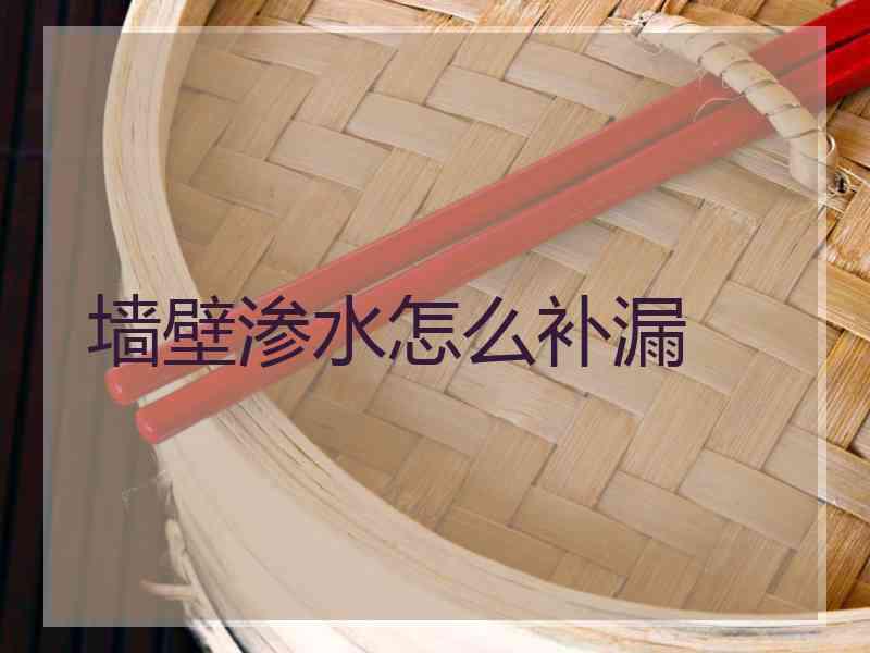 墙壁渗水怎么补漏