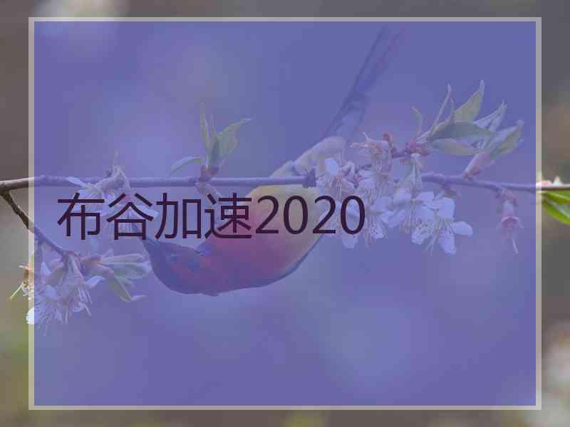 布谷加速2020