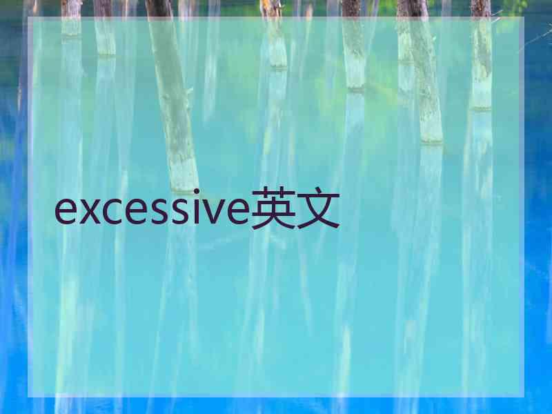 excessive英文