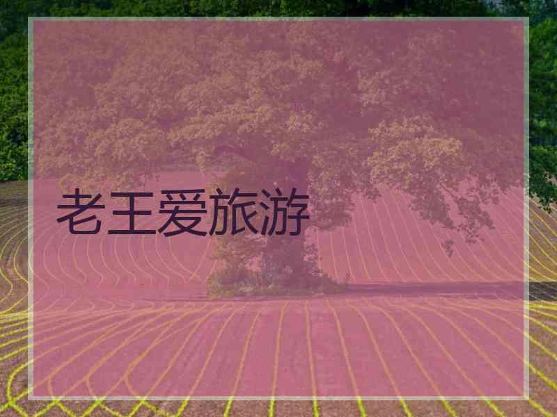 老王爱旅游