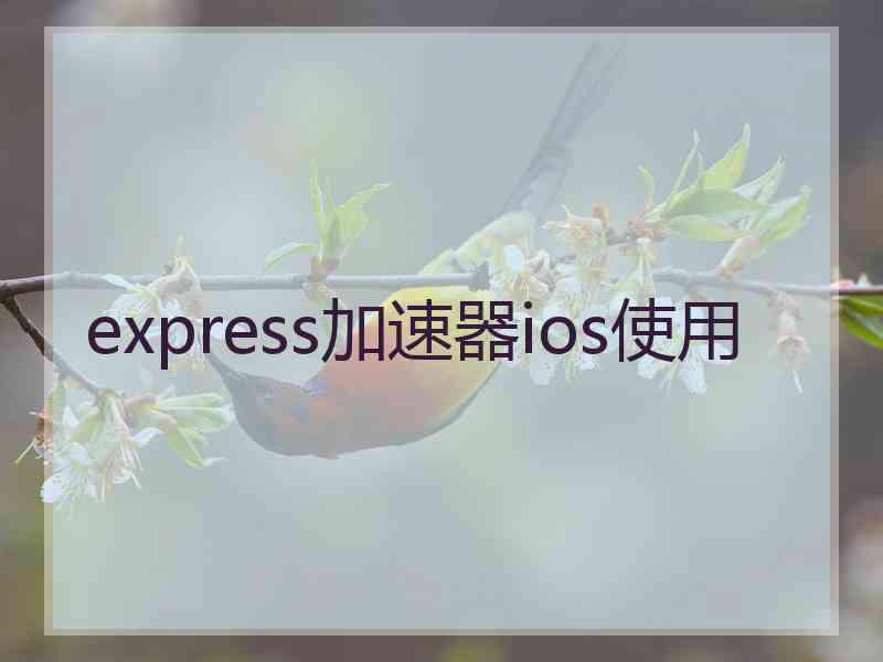 express加速器ios使用