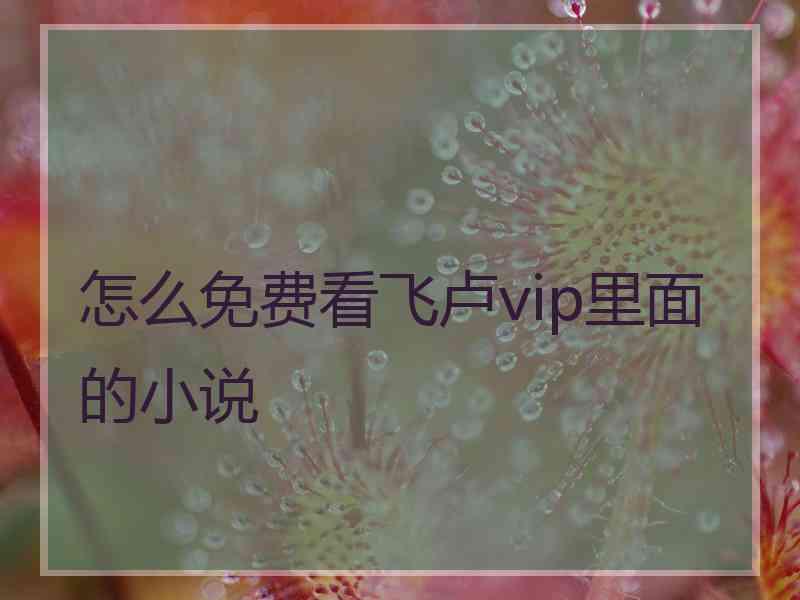 怎么免费看飞卢vip里面的小说