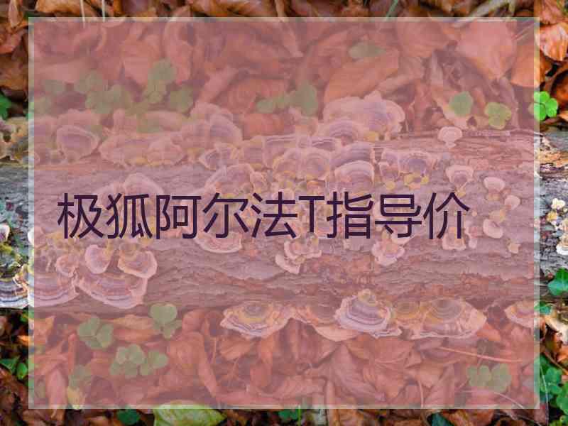 极狐阿尔法T指导价