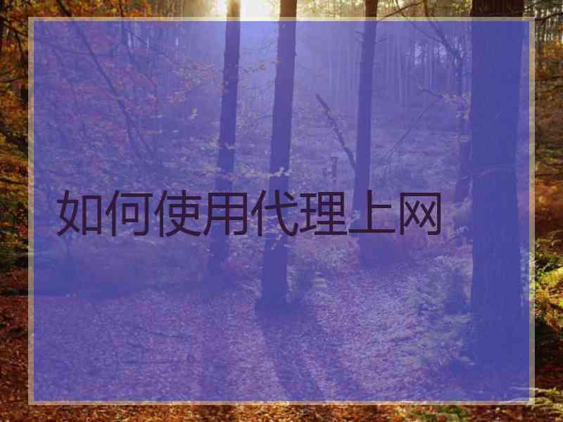 如何使用代理上网