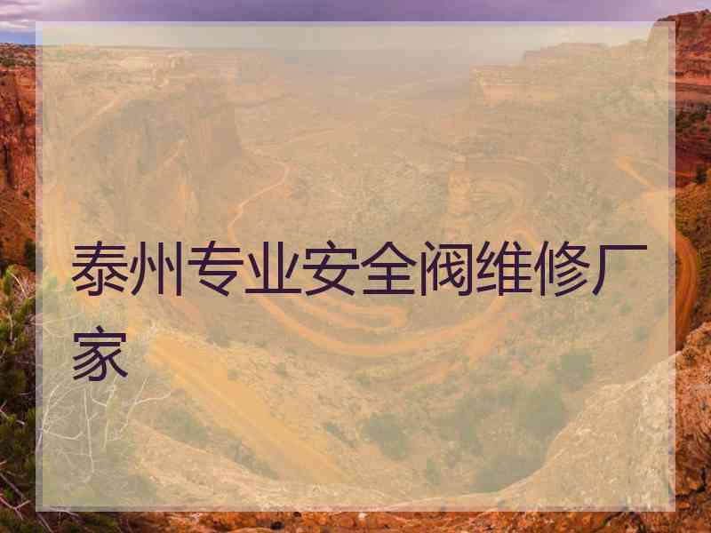 泰州专业安全阀维修厂家