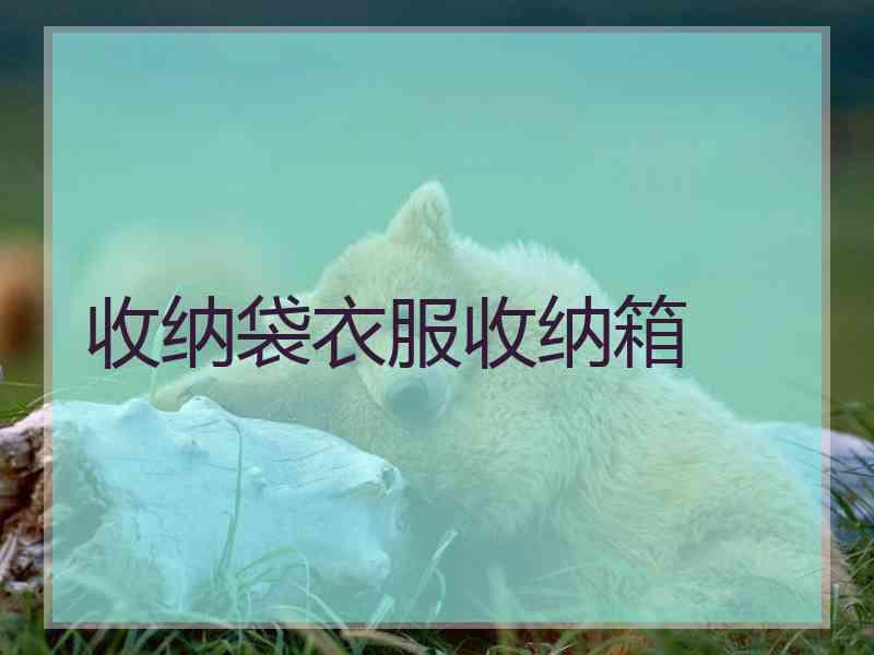 收纳袋衣服收纳箱