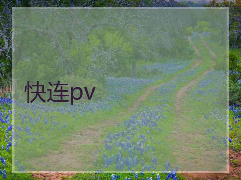 快连pv