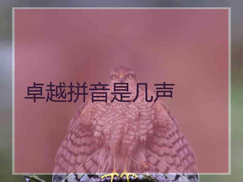 卓越拼音是几声