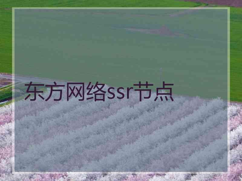 东方网络ssr节点