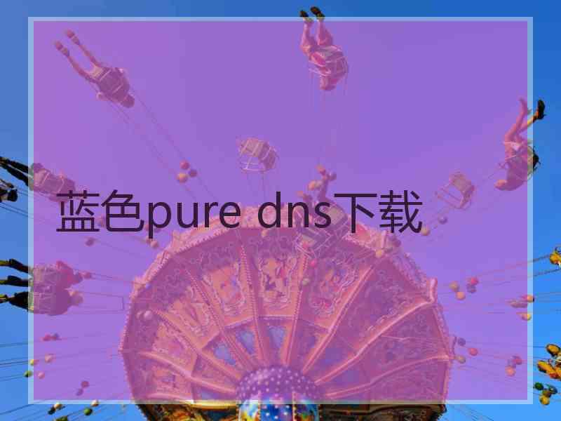 蓝色pure dns下载