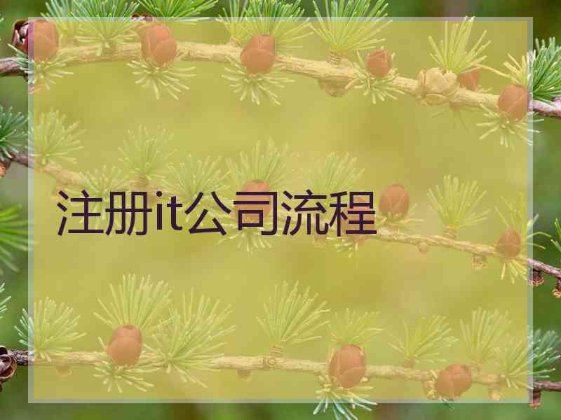 注册it公司流程