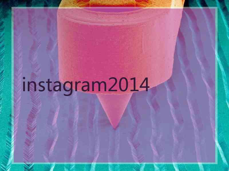 instagram2014