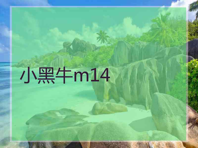 小黑牛m14