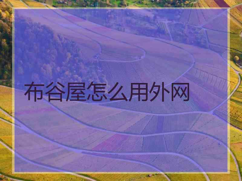 布谷屋怎么用外网