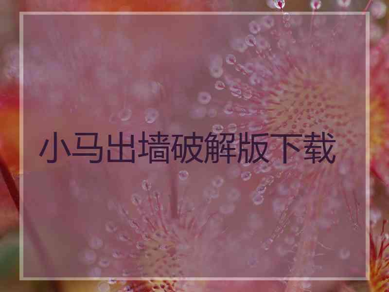 小马出墙破解版下载