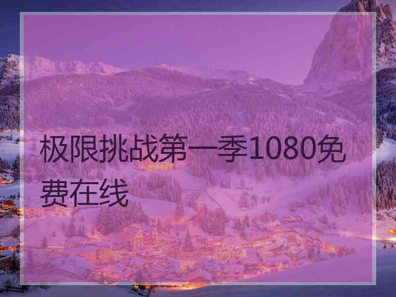 极限挑战第一季1080免费在线