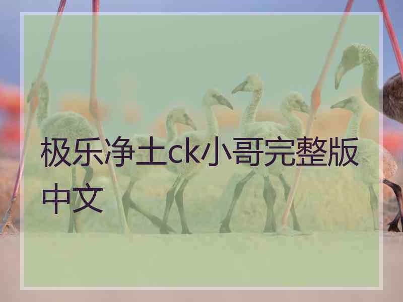 极乐净土ck小哥完整版中文