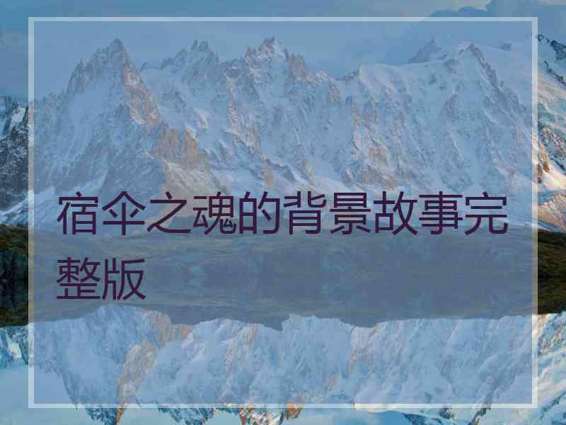 宿伞之魂的背景故事完整版