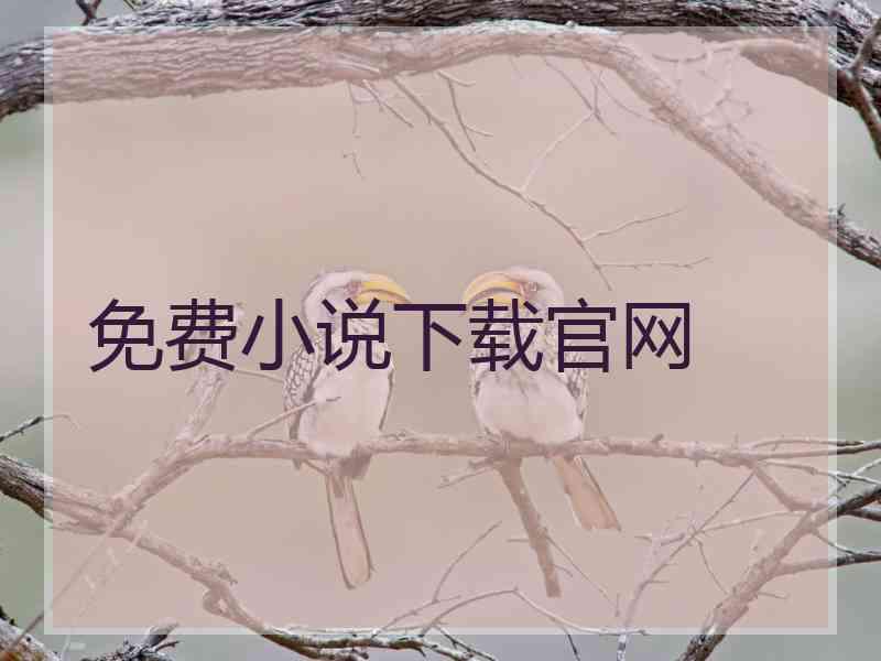 免费小说下载官网