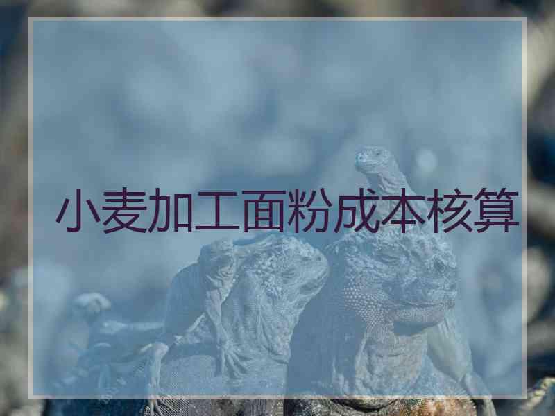 小麦加工面粉成本核算