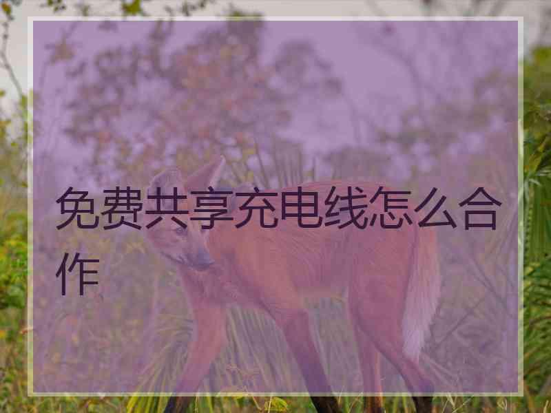 免费共享充电线怎么合作