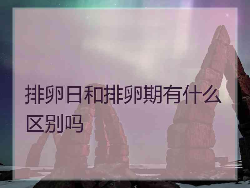 排卵日和排卵期有什么区别吗
