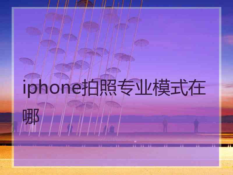 iphone拍照专业模式在哪