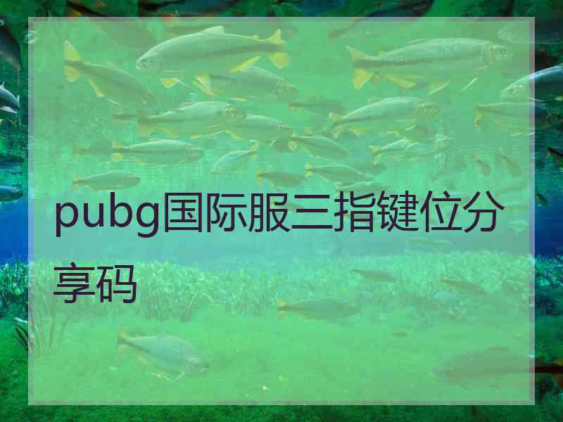 pubg国际服三指键位分享码