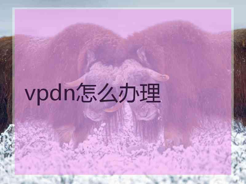vpdn怎么办理